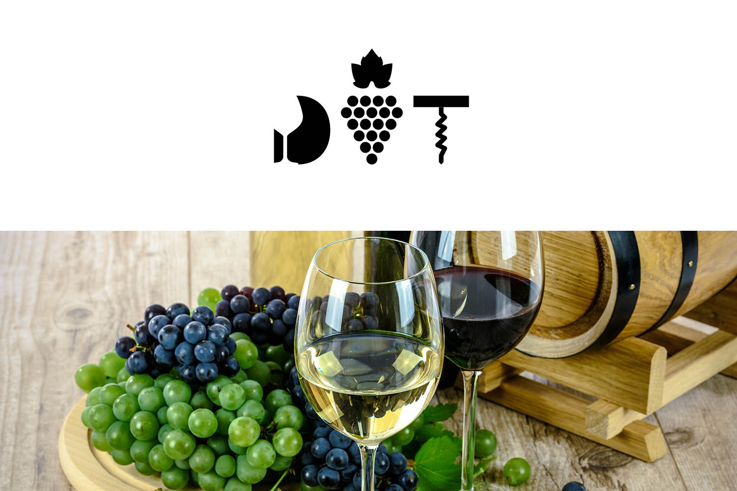Degustazione Vini del Trentino